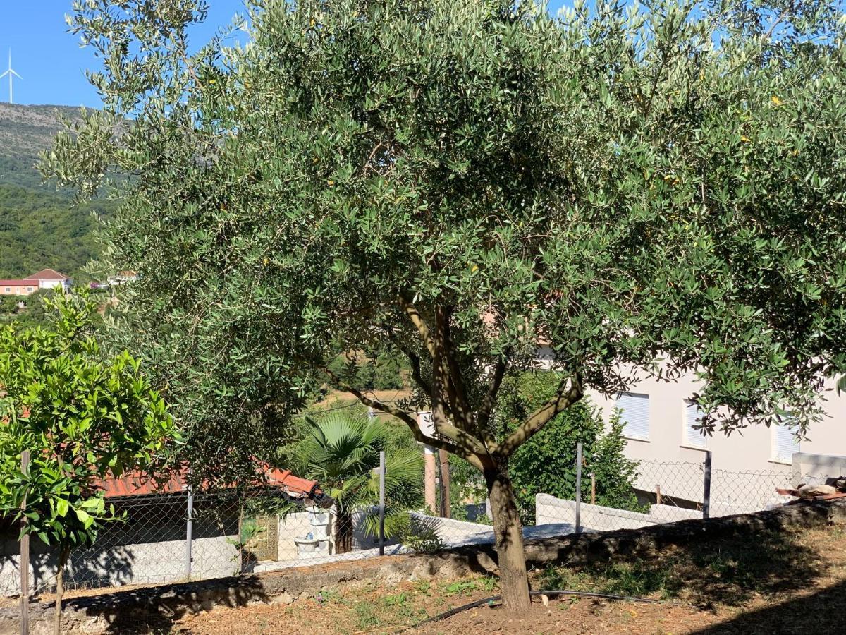 Holiday Home Bratica Ulcinj Bagian luar foto
